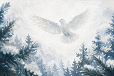 White Dove Above Evergreen Pines