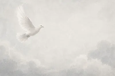 White Dove Flying Through Peaceful Sky