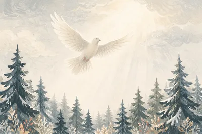 White Dove Over Evergreen Winter Sky