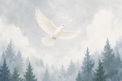 White Dove Over Evergreen Winter Sky