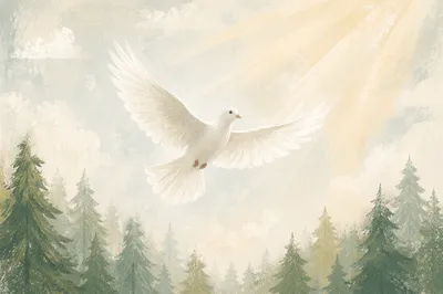 White Dove Rising Above Evergreen Mist
