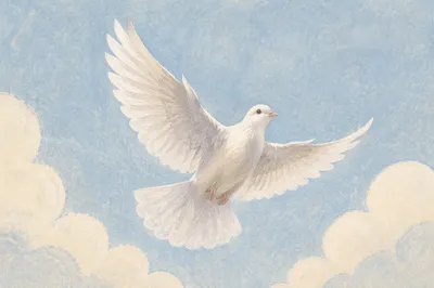 White Dove Rising in Serene Sky