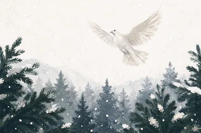 White Dove Rising Over Evergreen Forest