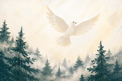 White Dove Rising Above Evergreen Forest