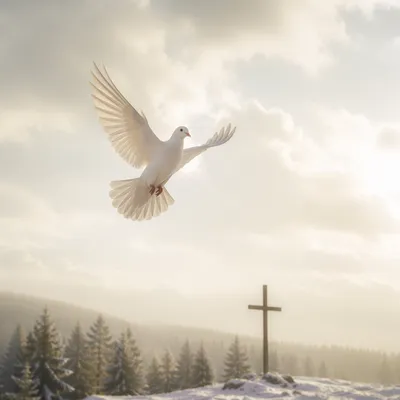White Dove Above Evergreen Cross