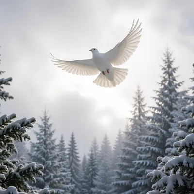 White Dove Above Snowy Evergreen Forest