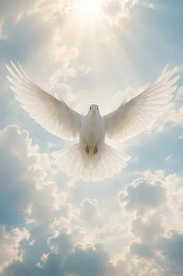 White Dove Flying Through Heavenly Clouds