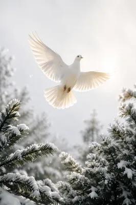 White Dove Rising Over Snowy Pines