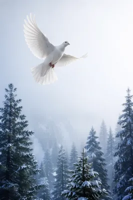 White Dove Over Snowy Evergreen Grove