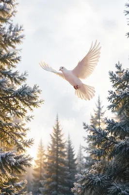 White Dove Over Evergreen Winter Clearing