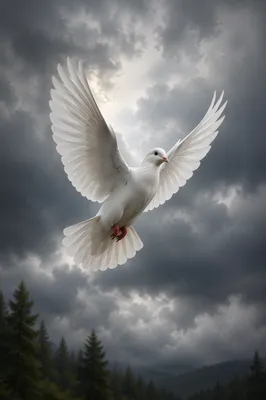 White Dove Rising Through Stormy Sky
