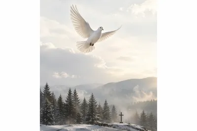White Dove Above Evergreen Cross