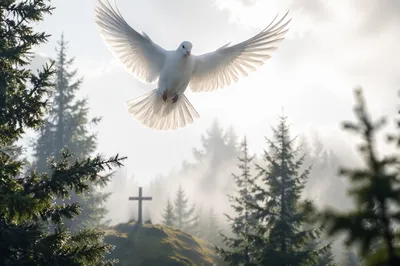 White Dove Above Evergreen Cross