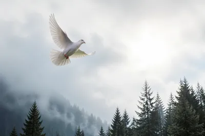 White Dove Over Evergreen Forest Sky