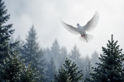 White Dove Rising Over Evergreen Forest
