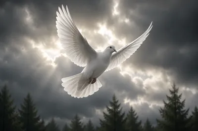 White Dove Rising Through Stormy Sky