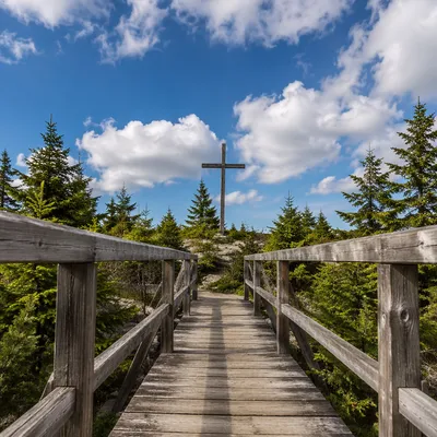 Empty Cross Beyond Evergreen Footbridge
