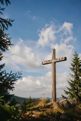 Weathered Cross Beneath Evergreen Blue Sky