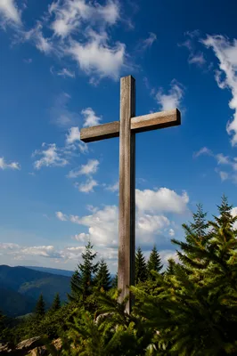 Empty Wooden Cross Under Blue Sky