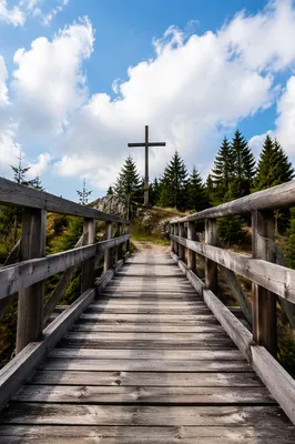 Empty Cross Beyond Evergreen Footbridge