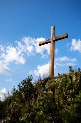 Empty Wooden Cross Under Blue Sky