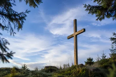 Weathered Cross Beneath Evergreen Sky