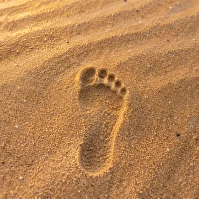 Bare Footprint in Sunrise Beach Sand