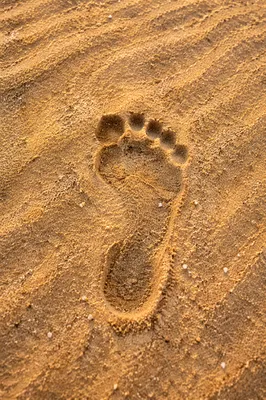 Single Footprint in Sunrise Beach Sand