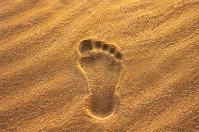 Single Footprint in Golden Sunrise Sand
