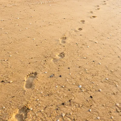 Sunrise Footprints Across Golden Beach Sand
