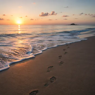 Footprints in Wet Sand at Sunrise