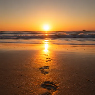 Footprints in Sand at Sunrise Beach