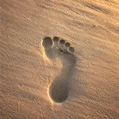 Single Footprint in Sunrise Beach Sand