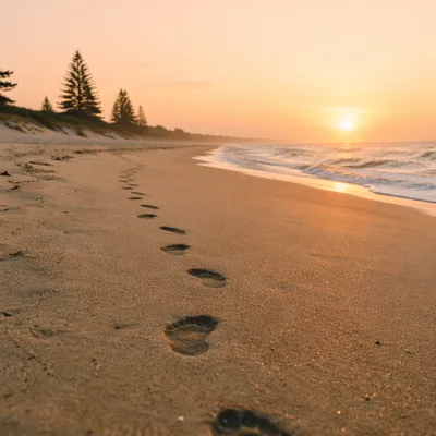 Sunrise Footprints on Quiet Sandy Beach