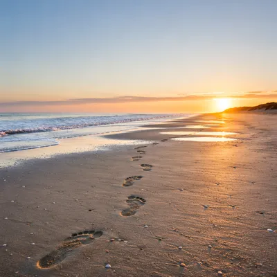 Footprints in Sand at Beach Sunrise