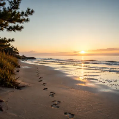 Footprints in Sand at Beach Sunrise