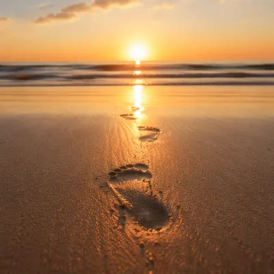 Footprints in Wet Sand at Sunrise