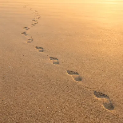 Footprints in Sand at Sunrise