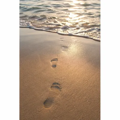 Footprints in Sand at Beach Sunrise