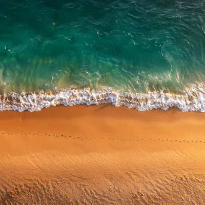 Footprints Along Sunrise Beach Shoreline