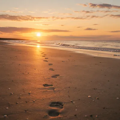 Footprints in Sand at Peaceful Sunrise