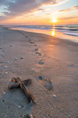 Footprints and Driftwood Cross at Sunrise