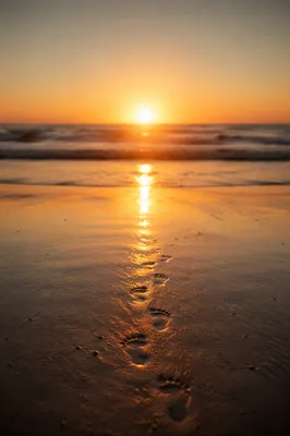Footprints in Sand at Beach Sunrise