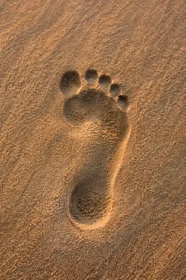 Single Footprint in Golden Sunrise Sand