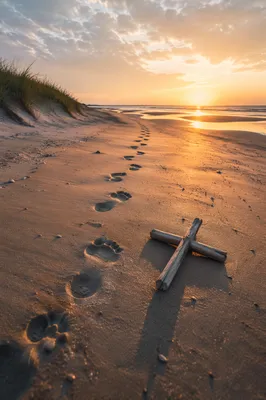 Footprints Toward Sunrise with Driftwood Cross