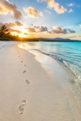 Footprints on Tropical Beach at Sunrise