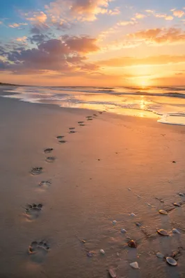 Sunrise Footprints Across Peaceful Beach Sand