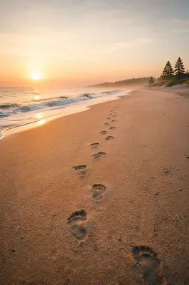 Footprints on Sunrise Beach with Coastal Pines