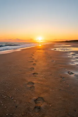 Footprints in Sand at Sunrise