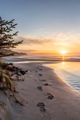 Footprints in Sand at Sunrise Beach
